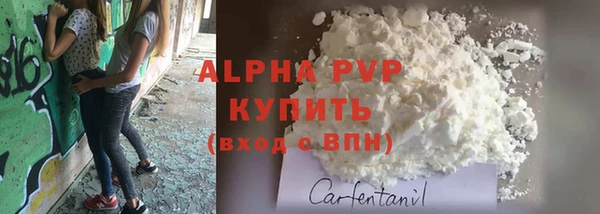 стафф Володарск