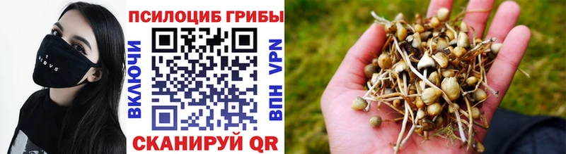 Галлюциногенные грибы мицелий  Купить  Старая Купавна 