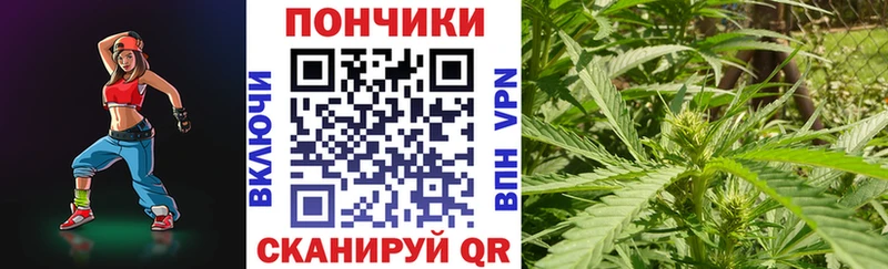 Канабис MAZAR  Купить закладки  Старая Купавна 